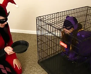 Batgirl Insemination & Birth - Harley Quinn